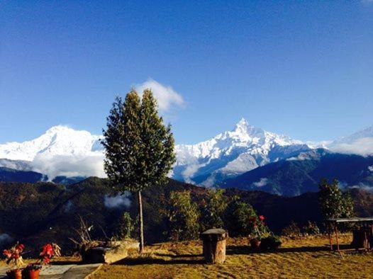 Himalayan Deurali Resort Pokhara Extérieur photo